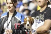 大谷の嫁凄すぎるよな