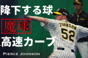やっぱり元阪神のPJは凄かった