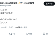 【悲報】グラドルさん、とんでもない理由で捕まるｗｗｗｗ