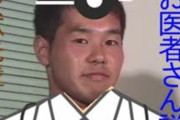 野獣先輩診察シリーズ