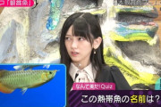 【なんて美だ！】次々と正解！池田瑛紗の『雑学力』が凄すぎる【乃木坂46】