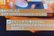 【コロナで一攫千金】日本のPCR検査ガチで闇すぎるｗｗｗｗｗｗｗｗｗｗｗ