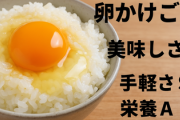 卵かけご飯「美味しさA　手軽さS　栄養A」←お前らが食べない理由