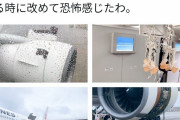 日本ヤバすぎw緊急着陸のJAL機、胴体と水平尾翼も損傷し大惨事一歩手前だったww #画像 |  韓国が悪い