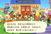 あつまれどうぶつの森 タヌキ商店がリニューアルオープン タイマーや変わった道具が販売されるようになりました
