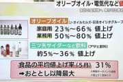 【年収アップ朗報】俺達の今年の所得　岸田総理のおかげでめちゃくちゃ上がるらしい