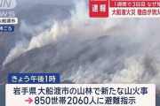 津波で家を無くした人が高台に建てた家が大船渡の山火事で全焼