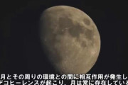 最近の物理学の研究結果が、俺が悟りの末理解し得た宇宙の真理と全く一緒だったんだが
