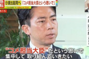 江藤農水大臣の後任に小泉進次郎コメ担当大臣が爆誕