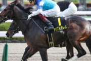 【菊花賞２着】アリストテレス　有馬記念ではなくAＪＣＣへ