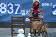 【韓国】日本の専門家（パヨク）、「判決で慰安婦問題は解決できない。対話が必要」