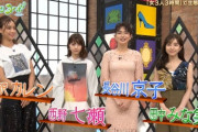 【乃木坂46】西野七瀬「北海道に家を建てたい」