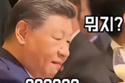 【速報】韓国政府、伝統的な酒「マッコリ」て乾杯　習近平のお口に合わなかった模様「うわっ、マッコリ不味すぎ！オエッ」→国民ブチギレ