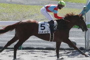 【競馬予想】[2]第27回ユニコーンステークス(GⅢ) /2022