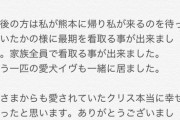 【訃報】みくりんの愛犬クリスが虹の橋を渡る【HKT48・田中美久】