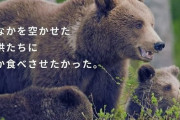 【画像】母クマ「お腹を空かせた子供たちに何か食べさせたいな、ねぇ人間さん、私達は『害獣』なの？」