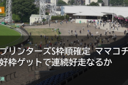 スプリンターズS枠順確定 ママコチャ好枠ゲットで連続好走なるか