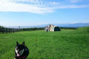 【画像】うちの柴犬といつも誰もいないキャンプ場で嫁と柴子と3人キャンプ…これは絶景ですねwww