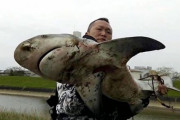 【ﾋｴｯ】本来生息しないはずの凶暴なサメ、◯◯市の河口近くで釣り上げられる・・・