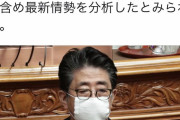 緊急事態宣言検討いよいよ発動 |  しかし自民党には日本を任せられないね
