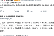 【立憲仕草】徳永エリ「どんな言い分あっても、国会ルール守らなければ」X民「過去の自分の公選法違反は？」徳「あれは…」→斜め上の“他責リプ”で無事大炎上