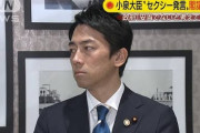 【悲報】小泉環境相「セクシー」発言、政府が答弁書を閣議決定　※立憲民主党議員の質問主意書