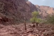 【動画】グランドキャニオンで鉄砲水が発生し1人死亡、15人が安否不明に。