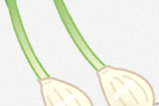 ニンニクを枯らしたワイにおすすめの育てやすい野菜