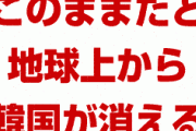 韓国高官「このまま文在寅を下ろさないと韓国が地球上から消える」　終わったな…