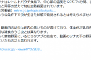Xユーザー「ツナから生きた蛆虫出てきた」メーカー「蛆虫が生存できる環境にないんだが…」