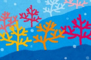 研究者「“ある音”をサンゴ不毛の海域で鳴らすと、サンゴが集まってくる」　その“ある音”とは？