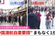 中共メディア「日本の旅行会社が存続危機」中国ネット「自業自得」「日本から帰ったばかりだけど…」 ［12/18］