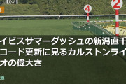 アイビスサマーダッシュの新潟直千レコード更新に見るカルストンライトオの偉大さ