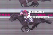 【有馬記念】シャフリヤール買えたヤツｗｗwｗｗｗ