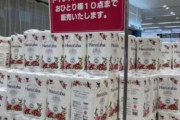イオン「トイレットペーパー？お一人様10点までオッケーでーす＾＾」