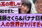バナナマン日村&遠藤さくら、２人の世界がヤバすぎたwww【乃木坂工事中・乃木坂46・乃木坂配信中】