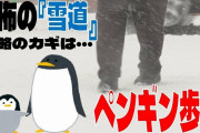 【首相官邸】雪道攻略のポイントは「ペンギン歩き」 [2/5]