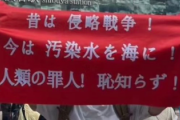 渋谷で日本の罪だと訴える中国人、同時に日本の平和と自由を証明してしまった模様･･･