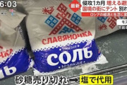【本国さえ崩壊序曲？】店で砂糖を奪い合う姿も…物不足のロシア、マクドナルドも国産に？  【買いだめ。最も怖い飢餓】