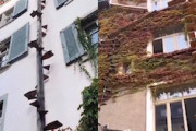 【動画】建物の外壁に設置されたネコちゃん専用の外階段いろいろ。