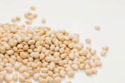 【緊急】大豆を食べすぎると認知機能障害リスクが高まることが判明wwwwww