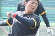阪神ドラフト４位・前川は「７番・左翼」で１軍デビュー　巨人先発は赤星