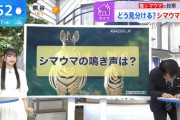 安住アナも絶賛！“本当に面白い人だよね…” 一ノ瀬美空に無茶振り『シマウマの鳴き声は？』→衝撃の回答がwww【THE TIME,】【乃木坂46】