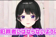 Vtuber お前ら理論は訴えられなきゃセーフなんだろ？じゃあ映画も映像流せば？なんでやらないの？