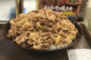 ワイ「キング牛丼持ち帰り」馬鹿店員「すみませんできません」「あっそう（コンビニの袋を取り出す）