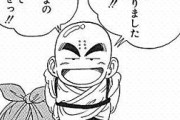 【ドラゴンボール】クリリン(老けない美人の嫁持ち、地球人最強、多数のコネあり、コミュ力最強)