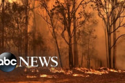 オーストラリア:終末的山火事で5億匹の生物が犠牲に…さらに被害拡大の恐れ[海外の反応]
