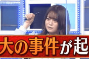 【乃木坂46】山崎怜奈 にゃんにゃんなちさん.gif れなちはアートネイチャー派ｗ