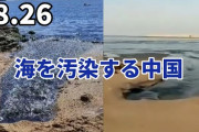 函館のイワシ・サバの大量漂着死　英紙「汚染水放水の影響」→　中国「やっぱりそうか！」  [12/12]