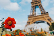 フランス(食べ物S観光SスポーツSオシャレさS人の優しさS)←この国